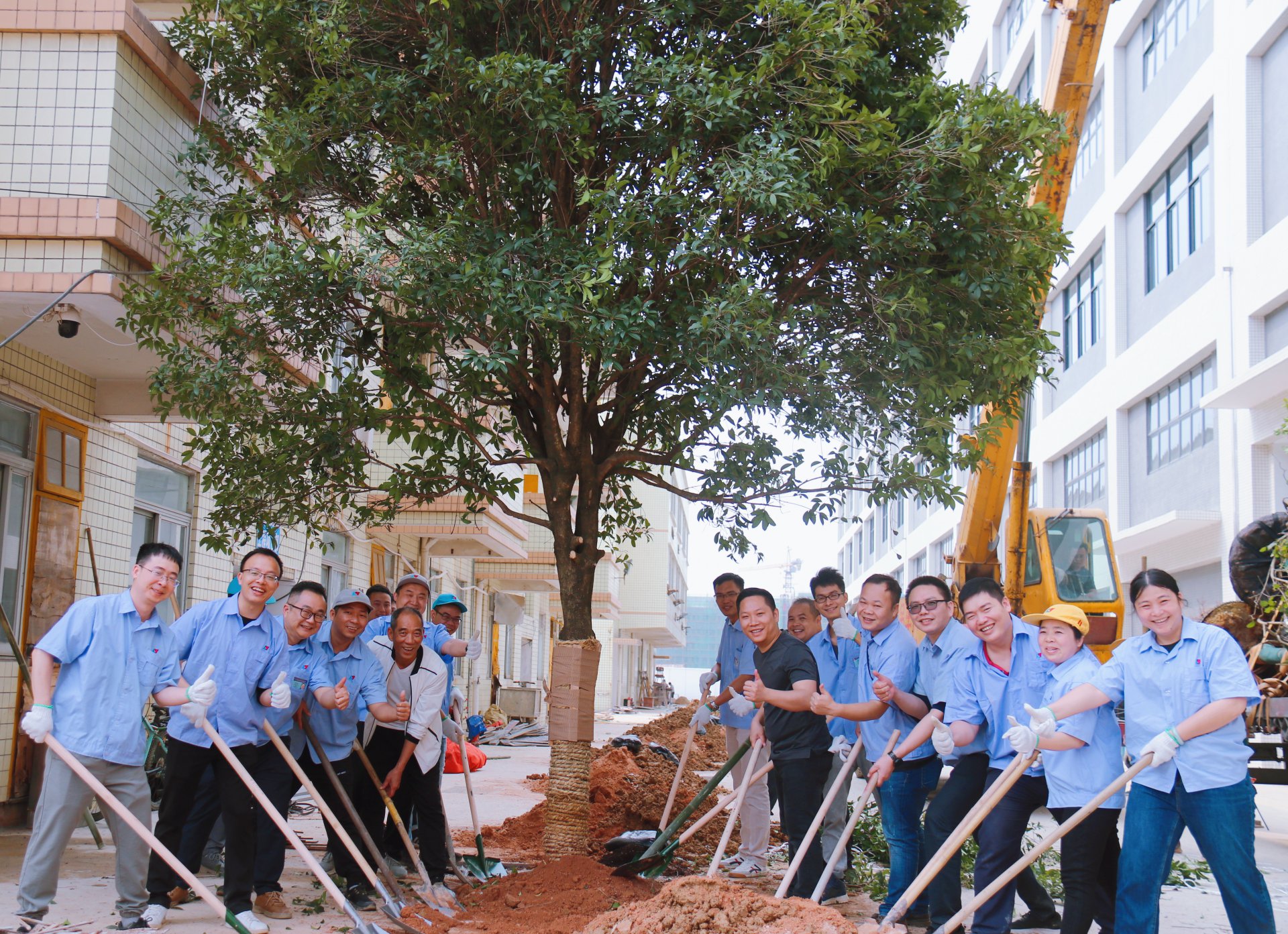 植樹節(jié)活動